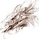 Illustration for article titled Designing the Dark Crystal